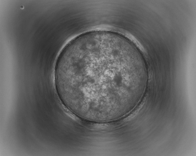 X0000112351232200908271226