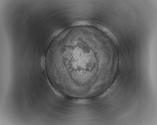 X0000112351233200908271226