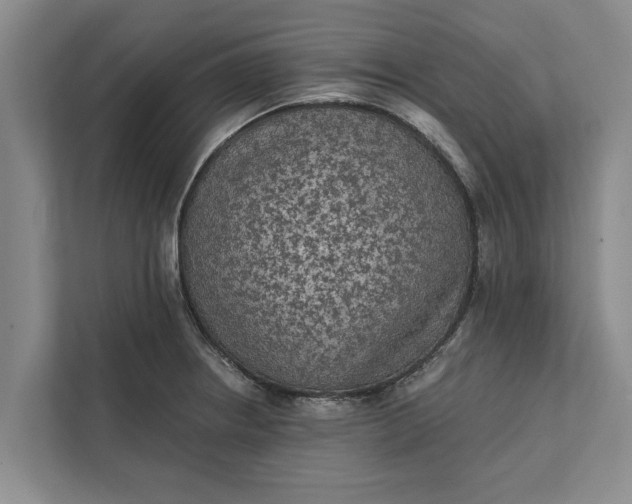 X0000112351234200908271226