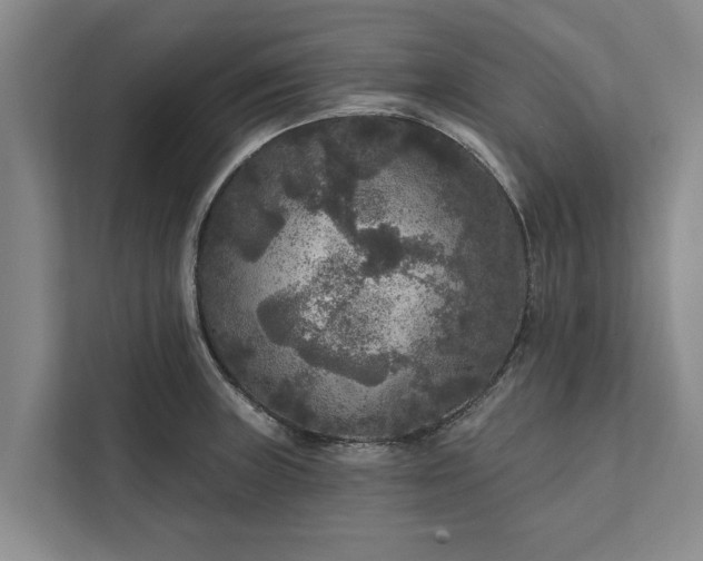 X0000112351235200908271226