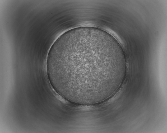 X0000112351236200908271226