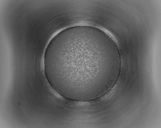 X0000112351238200908271226