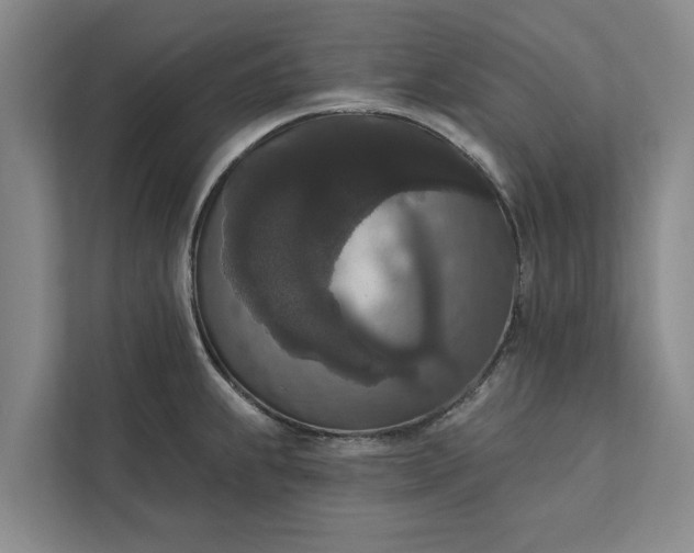 X0000112351239200908271226