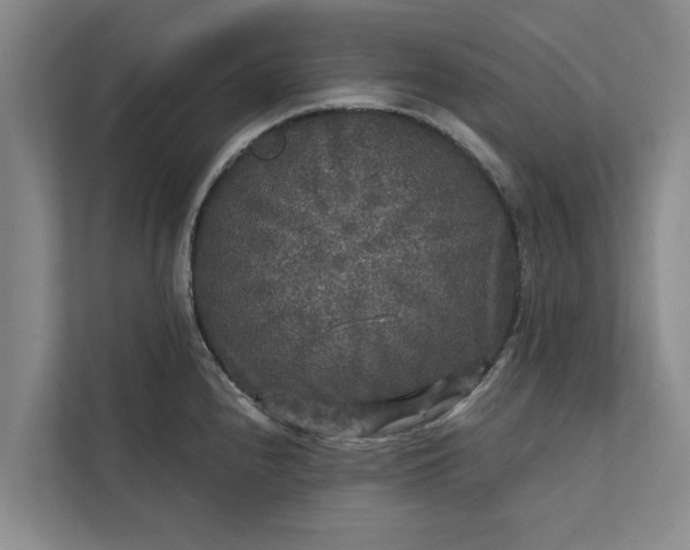 X0000112351240200908271226