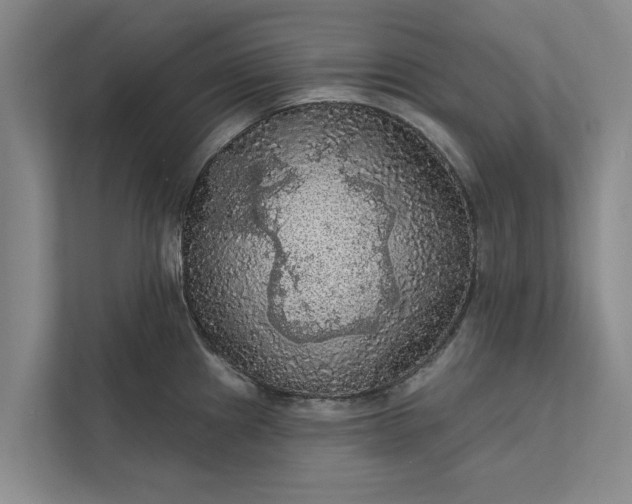 X0000112351241200908271226