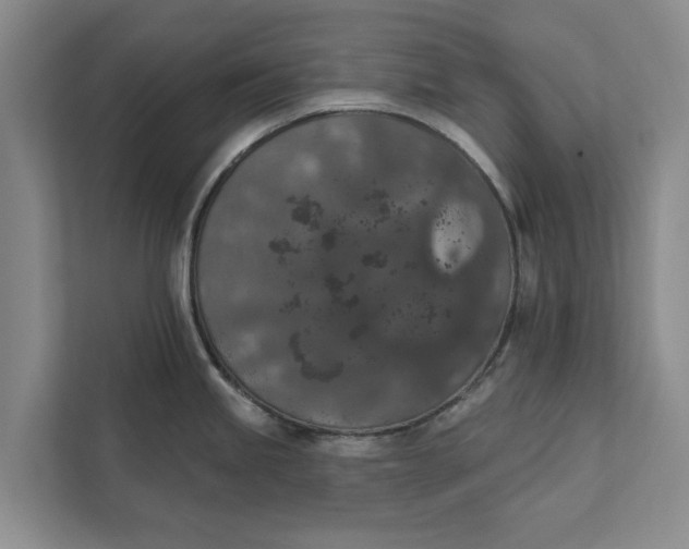 X0000112351245200908271226