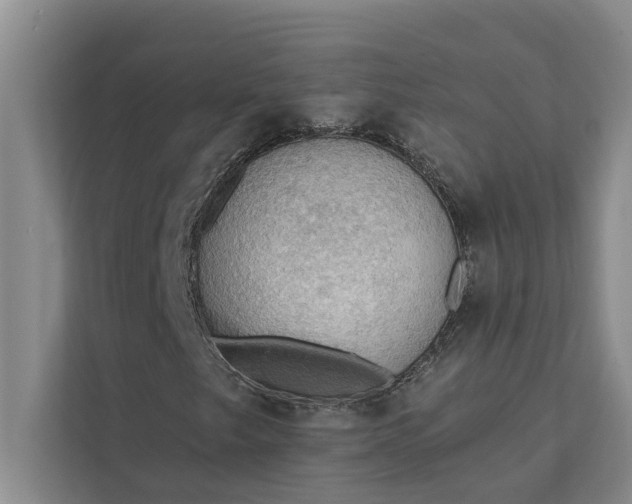 X0000112351249200908271226