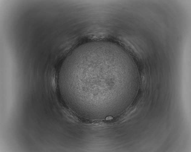 X0000112351250200908271226