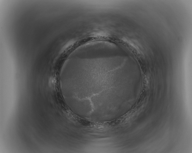 X0000112351254200908271226