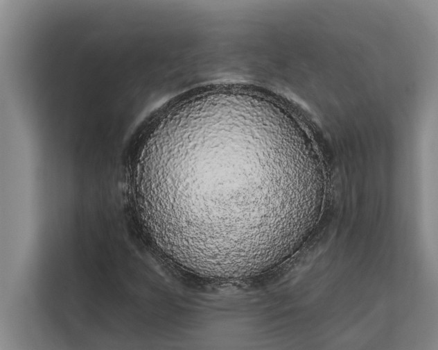 X0000112351255200908271226