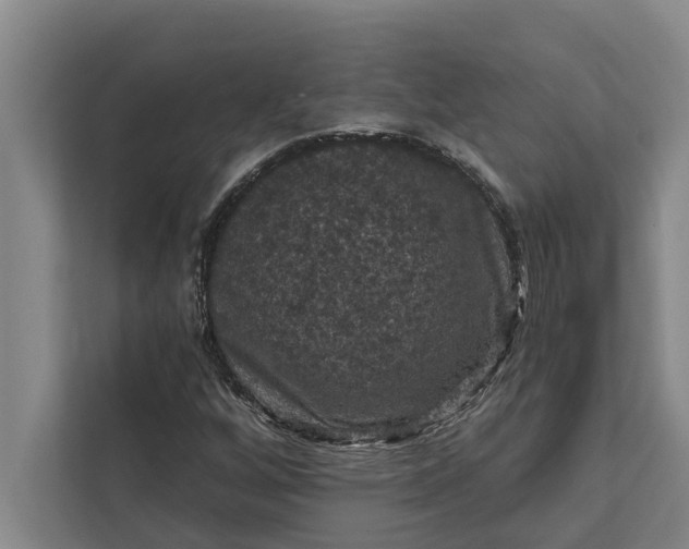 X0000112351256200908271226