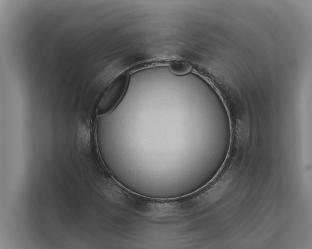 X0000112351257200908271226