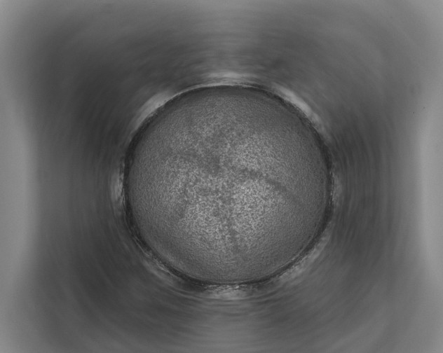 X0000112351259200908271226