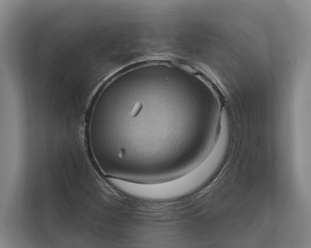 X0000112351260200908271226