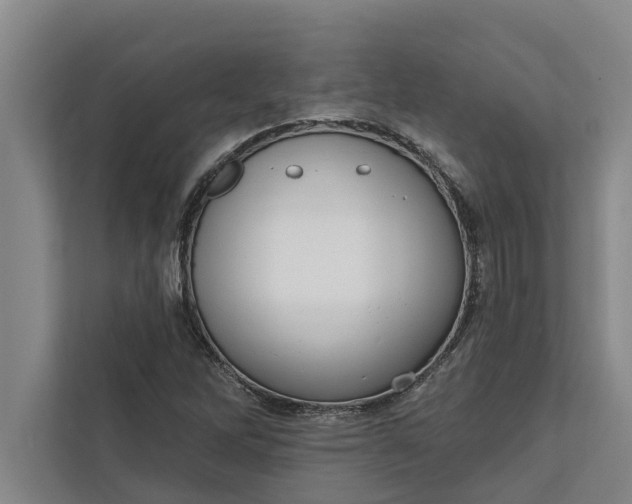 X0000112351262200908271226