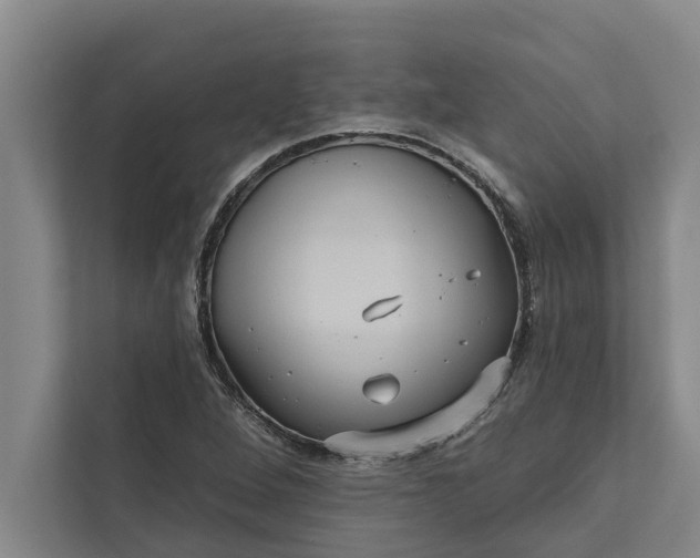 X0000112351264200908271226