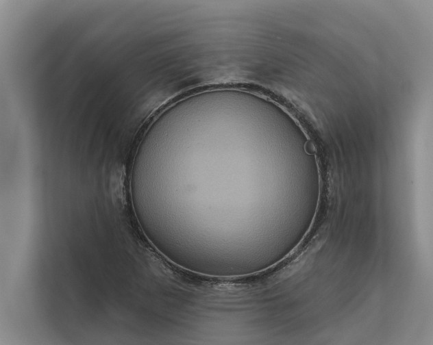 X0000112351265200908271226