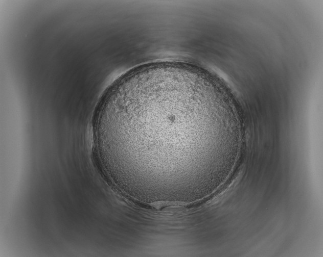 X0000112351267200908271226