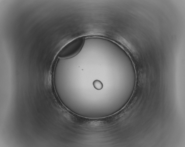 X0000112351268200908271226