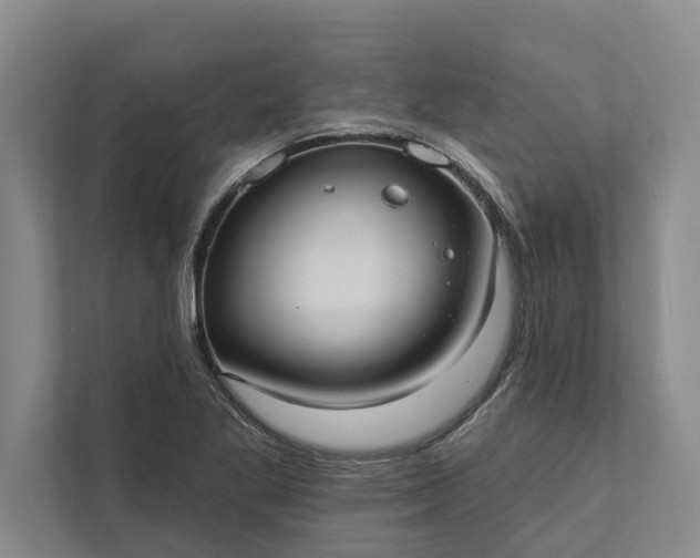 X0000112351269200908271226