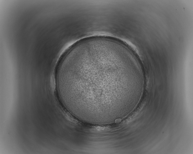 X0000112351271200908271226