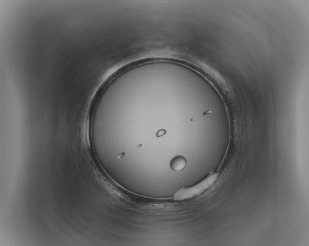 X0000112351272200908271226