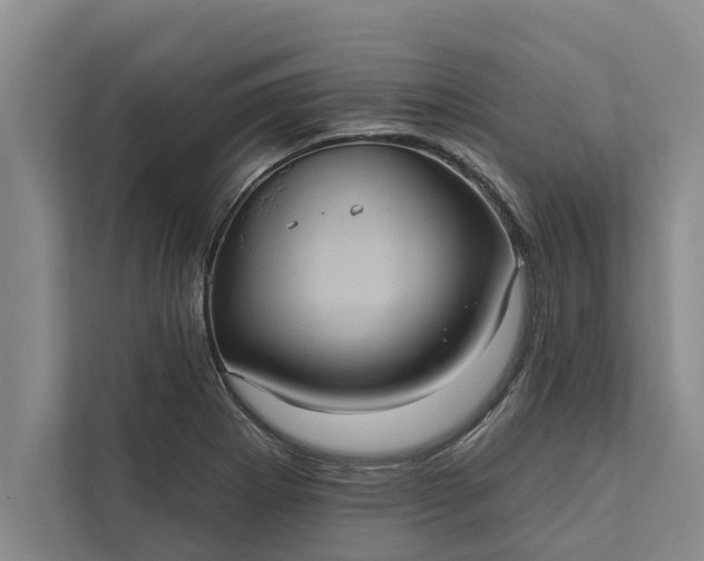 X0000112351273200908271225