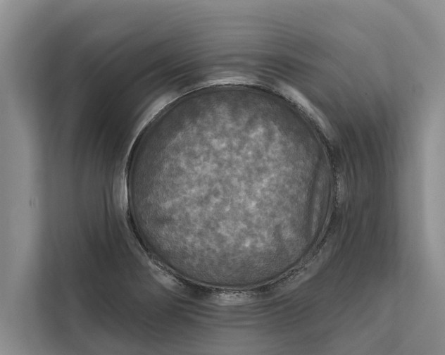 X0000112351274200908271225