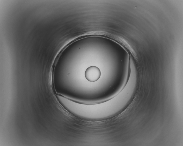 X0000112351276200908271225