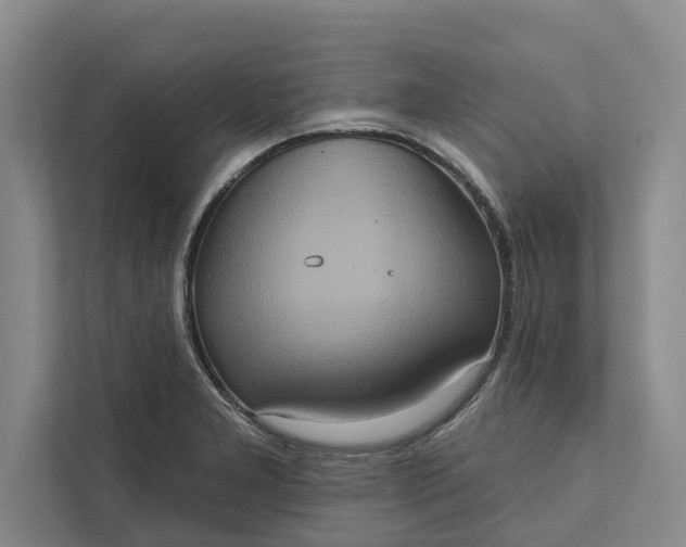 X0000112351277200908271225