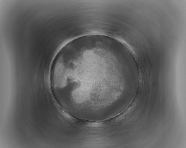 X0000112351278200908271225