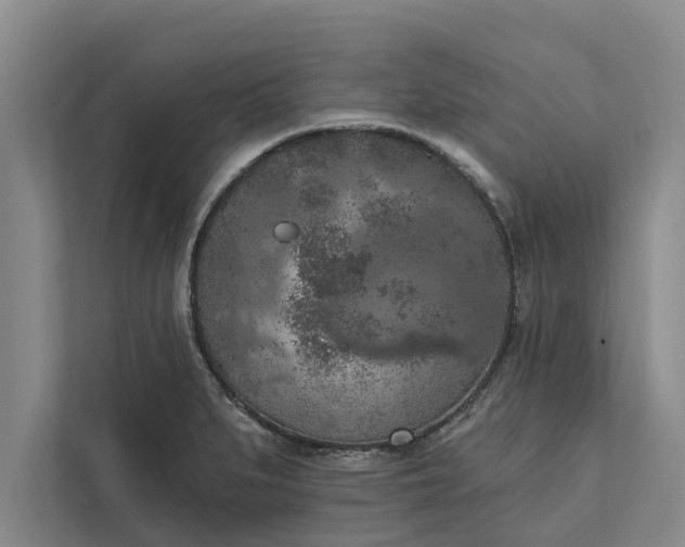 X0000112351279200908271225