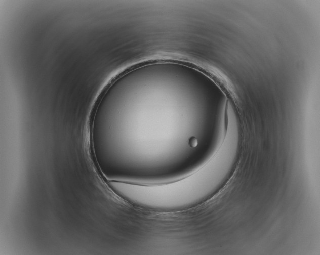 X0000112351280200908271225