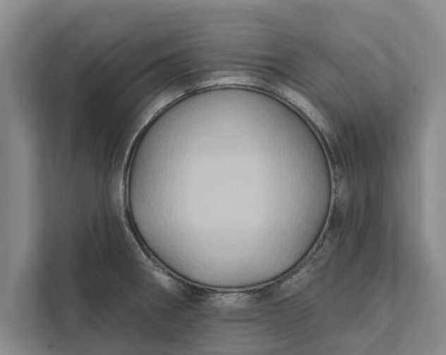 X0000112351282200908271225