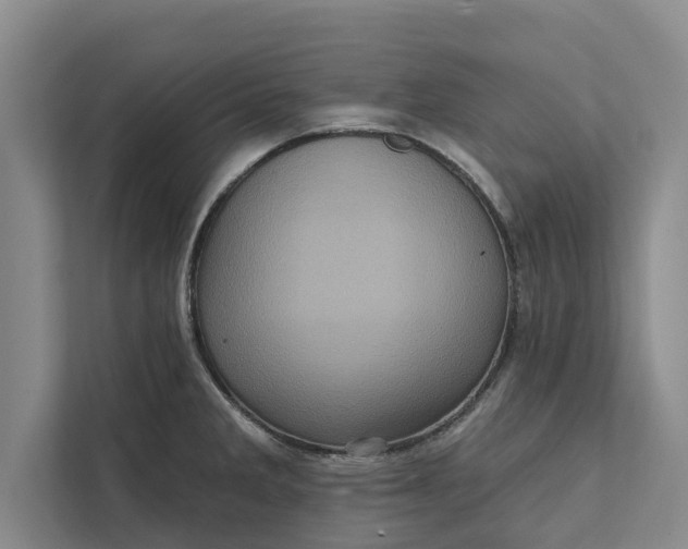 X0000112351285200908271225