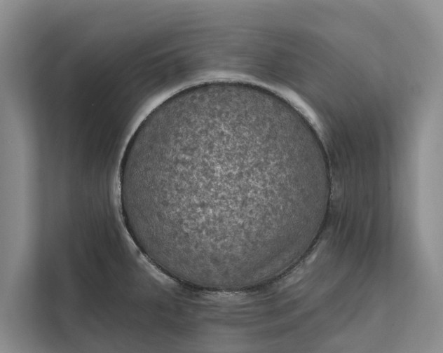 X0000112351287200908271225