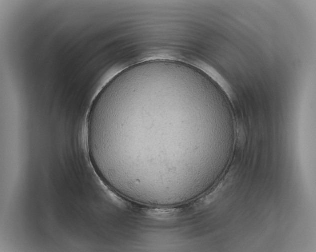 X0000112351290200908271225