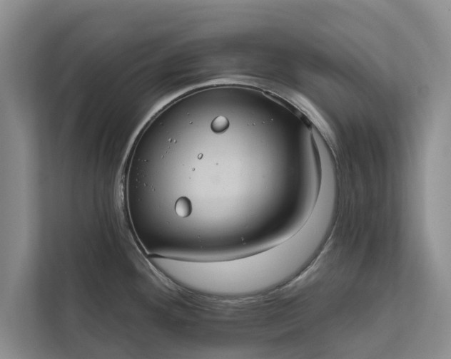 X0000112351292200908271225