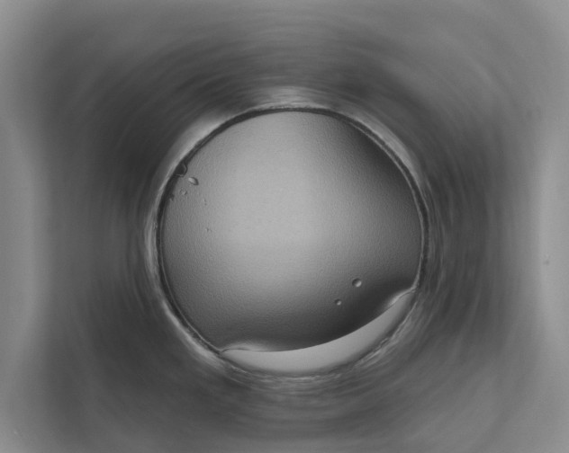 X0000112351293200908271225