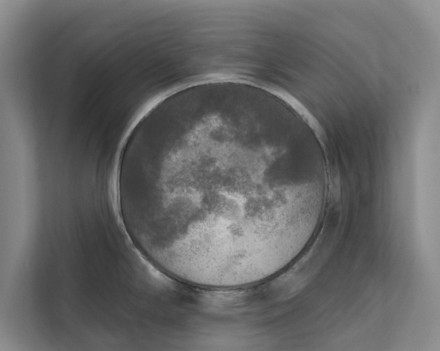 X0000112351294200908271225