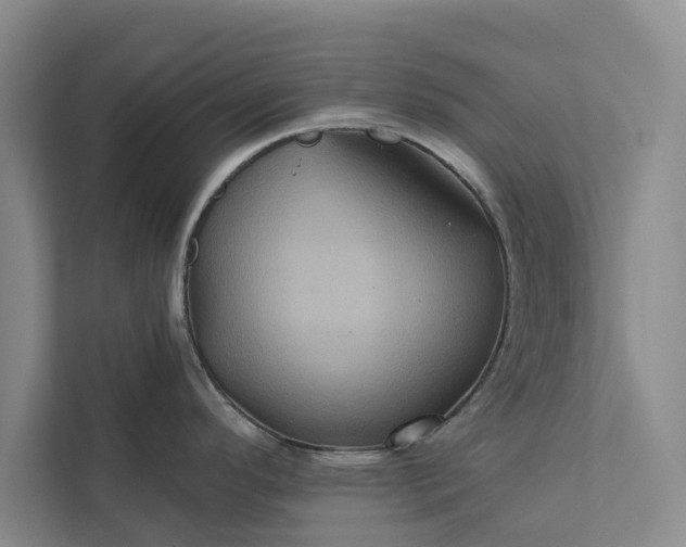 X0000112351296200908271225