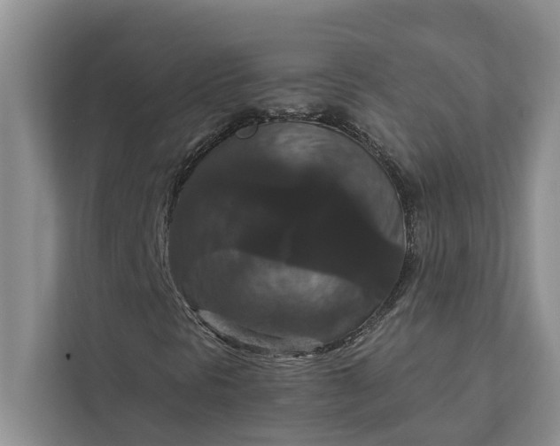 X0000112351297200908271225