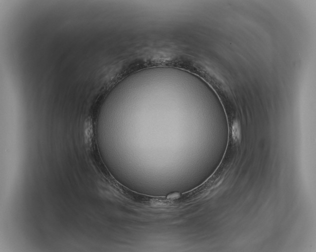 X0000112351299200908271225