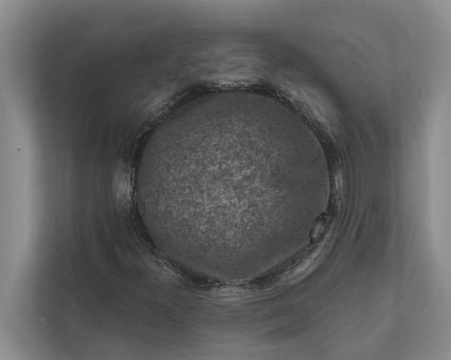 X0000112351300200908271225