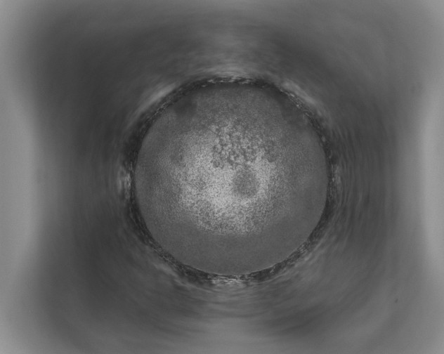 X0000112351302200908271225