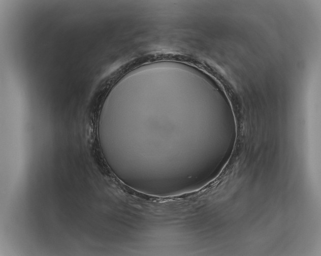 X0000112351303200908271225