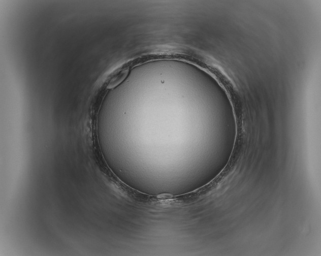 X0000112351304200908271225