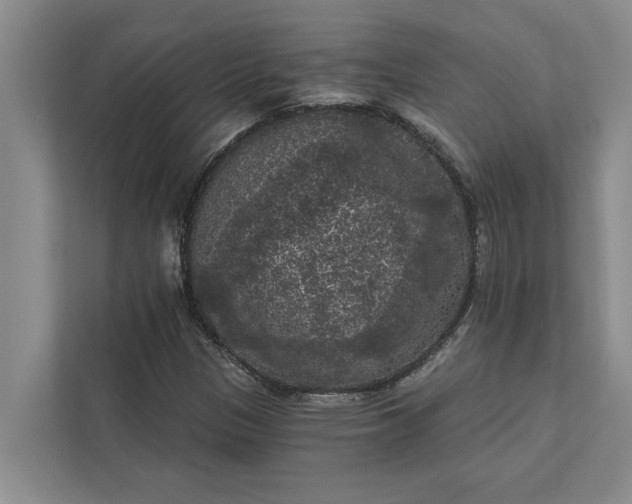 X0000112351305200908271225