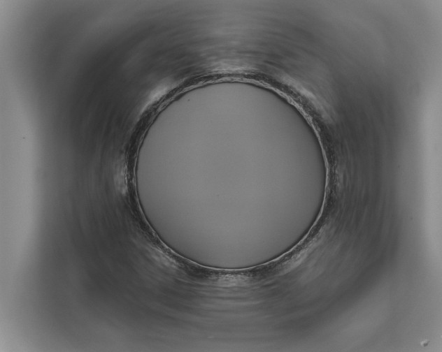 X0000112351306200908271225