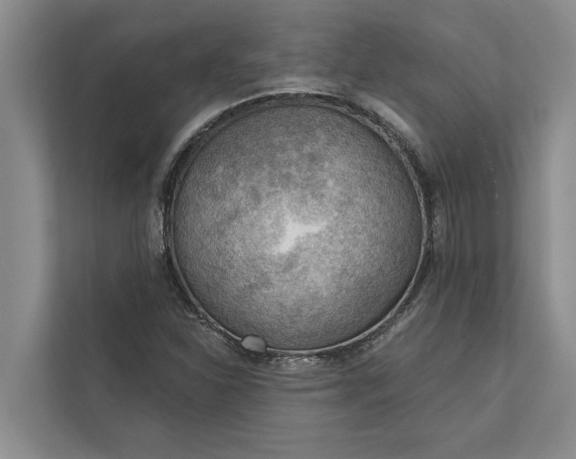 X0000112351310200908271225